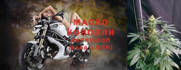 эйфоретик Сосновка