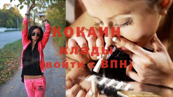 молекула духа Алексин