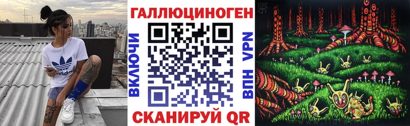 блэк спрут ONION  Жирновск  Галлюциногенные грибы GOLDEN TEACHER 