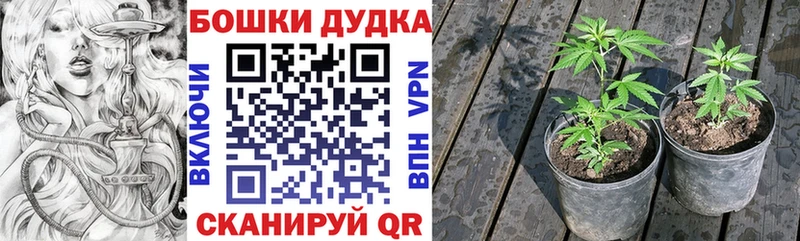 МАРИХУАНА ГИДРОПОН  Жирновск 